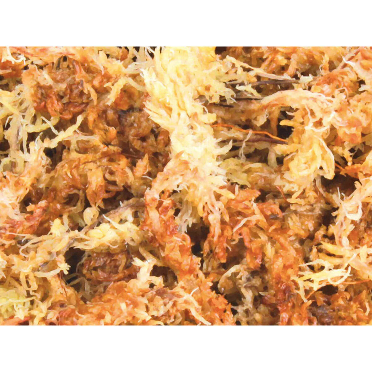 Trixie Sammalsubstraatti 4,5 L
