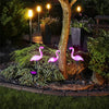 HI Puutarhan aurinkokenno LED valaisin Flamingo 3 kpl