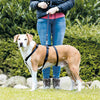 Trixie Stay koiran opasvaljaat musta S/M