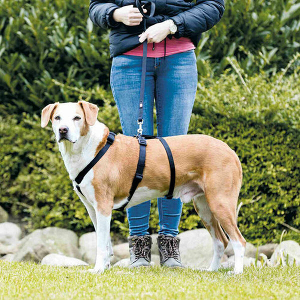 Trixie Stay koiran opasvaljaat musta S/M