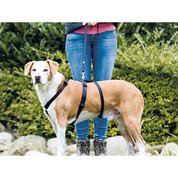 Trixie Stay Koiran Opasvaljaat Musta M/L