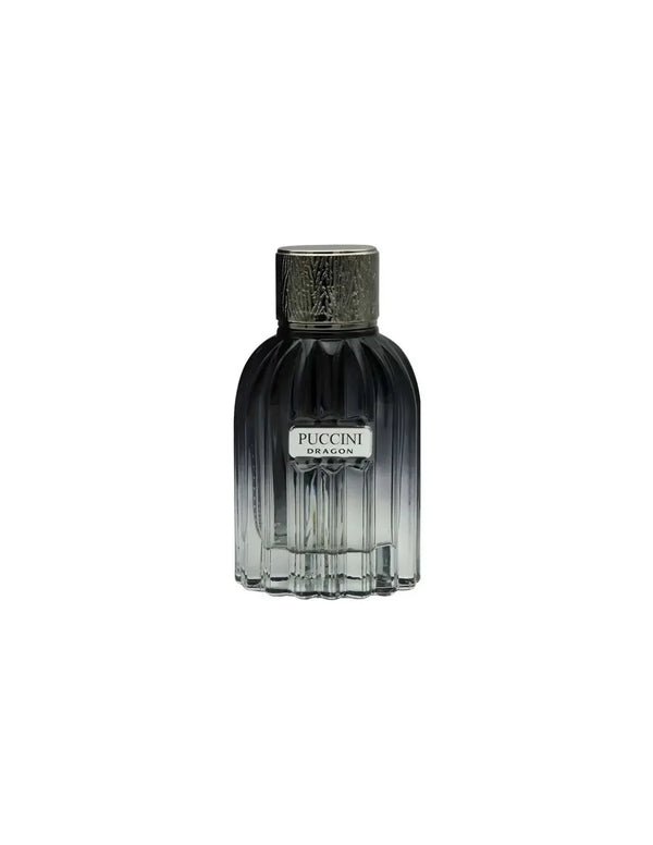 Puccini - Puccini Men et Dragon 100 Vap