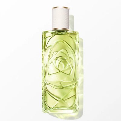 Ôff Now Edt Vapo 100 Ml