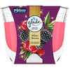 Glade - Winter Berries Candle - Tuoksukynttilä