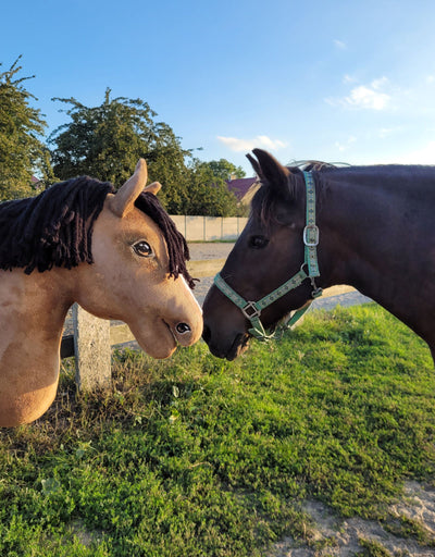 Premium Keppihevonen / Hobby Horse - Buckskin horse A3