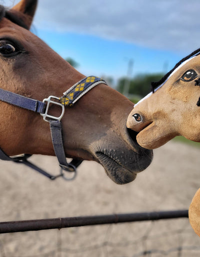Premium Keppihevonen / Hobby Horse - Buckskin horse A3