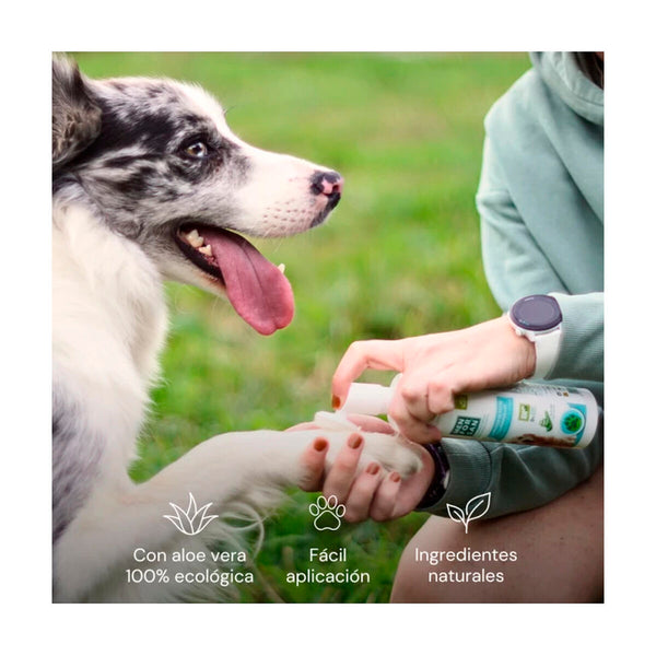 Menforsan Lemmikkien Tassujen Puhdistusaine