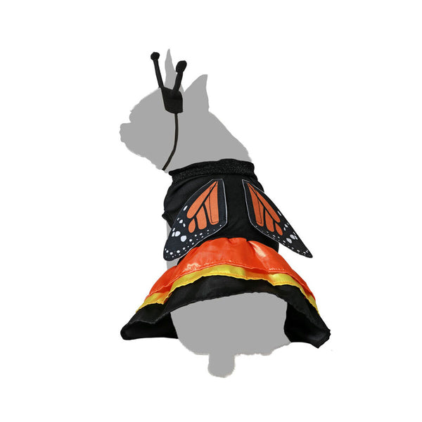 Koiran vaate perhosmalli koko L