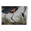 Kangas Taulu Heron Mäntypuu 50x70 cm