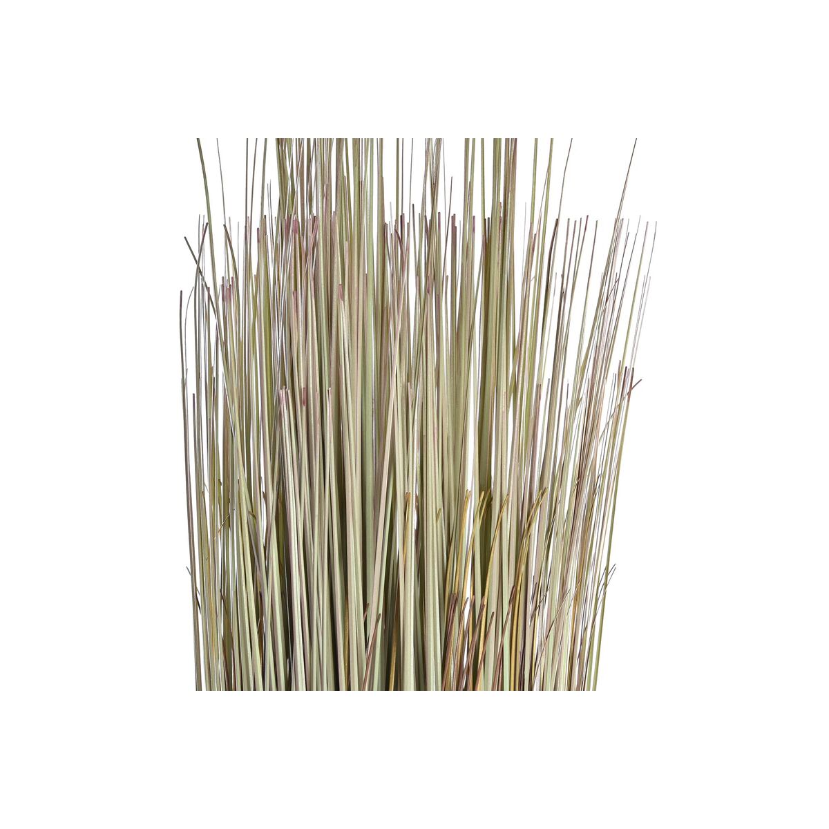 Koristekasvi DKD Home Decor 68 cm