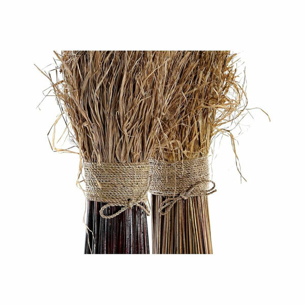 DKD Home Decor Sisustuskimppu, 2 osaa, Luonnollinen
