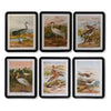 Seinäkoriste DKD Home Decor Linnut MDF 40 x 50 cm