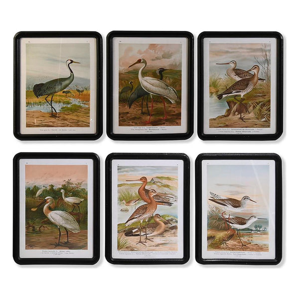 Seinäkoriste DKD Home Decor Linnut MDF 40 x 50 cm