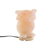 DKD Home Decor Pinkki Suolalamppu Akaasiapohjalla
