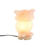 DKD Home Decor Pinkki Suolalamppu Akaasiapohjalla