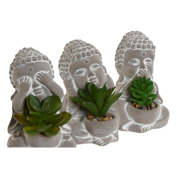 Koristekasvi Buddha Polyetyleeni Sementti