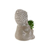 Koristekasvi Buddha Polyetyleeni Sementti