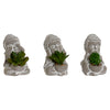 Koristekasvi Buddha Polyetyleeni Sementti