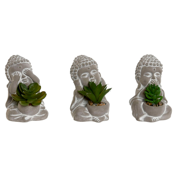 Koristekasvi Buddha Polyetyleeni Sementti