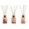 Ilmanraikastin Home ESPRIT Kaupunki 30 ml (3 kpl)