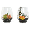 Koristekasvi Home ESPRIT PVC Kristalli 2 kpl