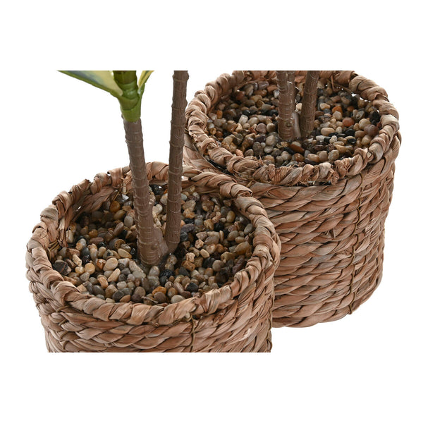 Koristekasvi Polyetyleeni Kuitu 30x30x75 cm