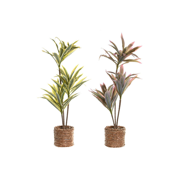 Koristekasvi Polyetyleeni Kuitu 30x30x75 cm
