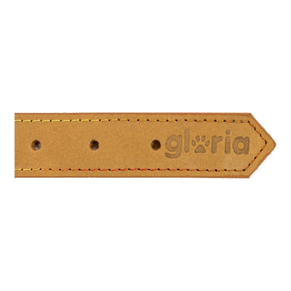 Gloria Oasis Keltainen Koiran Kaulapanta 70 cm