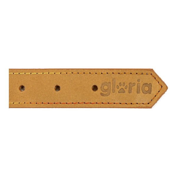 Gloria Oasis Keltainen Koiran Kaulapanta 40 cm