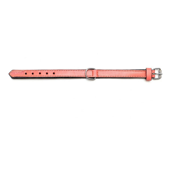 Gloria Koralli Koiran Kaulapanta 45 cm
