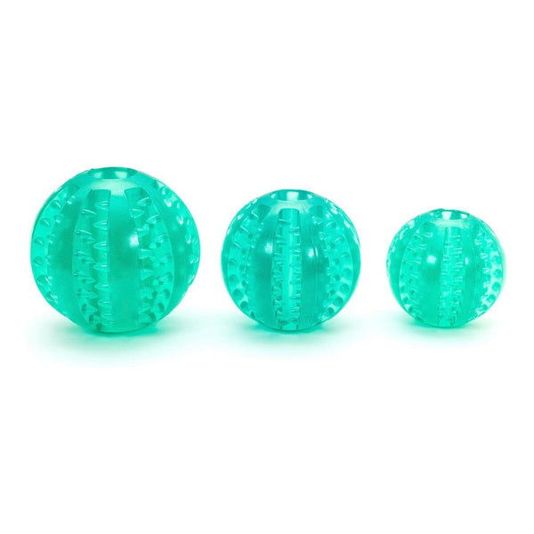 Gloria Koiran Hammashoito Lelu TPR