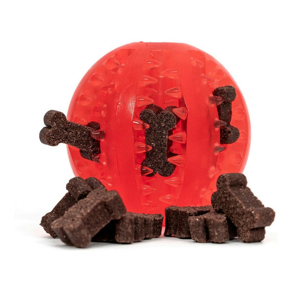 Gloria Koiran Hammashoito Lelu TPR