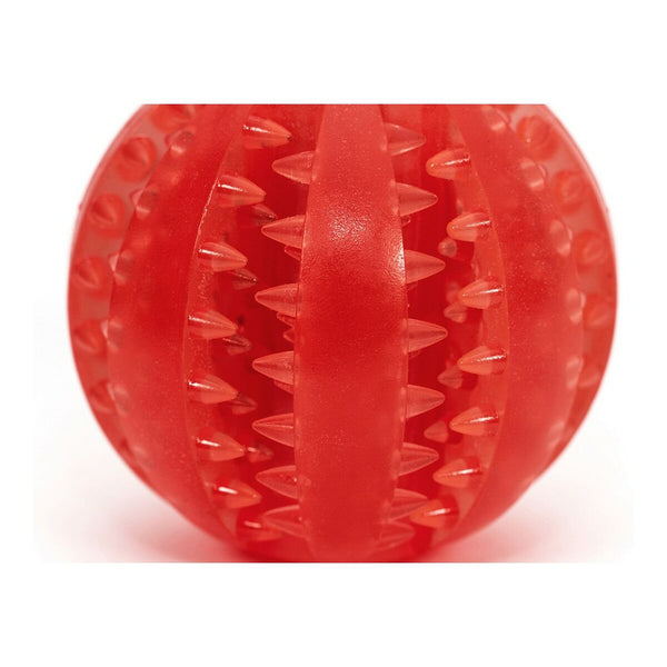 Koiran Hammashoito Lelu TPR, Monivärinen, 7 cm