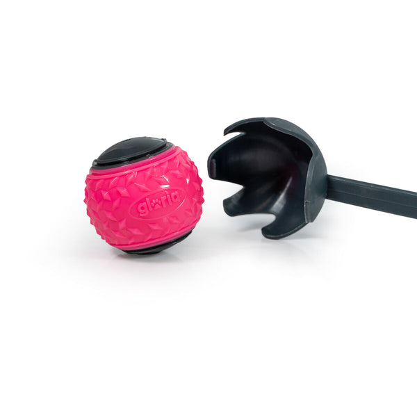 Gloria Pallonheitin Koiralle Harmaa Koko M