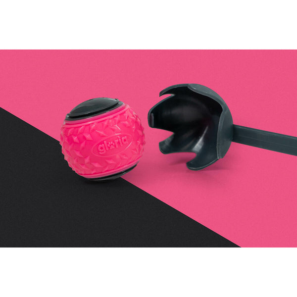 Gloria Pallonheitin Koiralle Harmaa Koko M