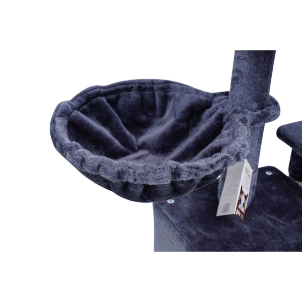 Gloria Gambia kissan raapimispuu