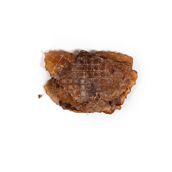 Snackys Kosteaa Koiranruokaa Kala 600 g