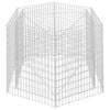 Korotettu kuusikulmainen gabion-/kivikorikehys Nistoroiu 160x140x100cm