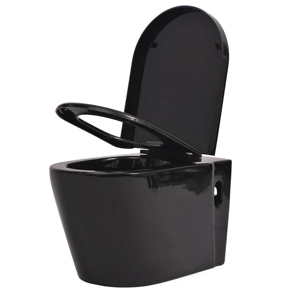 WC piilotetulla vesisäiliöllä Keraaminen Musta