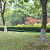 Slackline/tasapainoliina 15m x 50mm 150 kg Vihreä