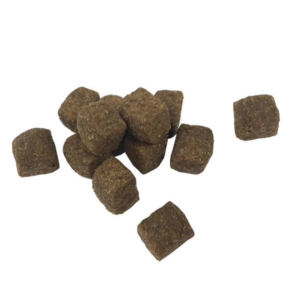 Premium koiran kuivaruoka "Adult Active Chicken & Fish" 15 kg