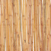 Bambuaita 500x30 cm