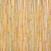 Bambuaita 300x100 cm