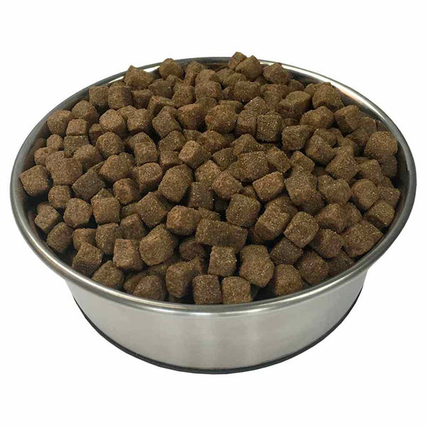 "Adult Active Chicken & Fish" koiran kuivaruoka (2 x 15 kg)