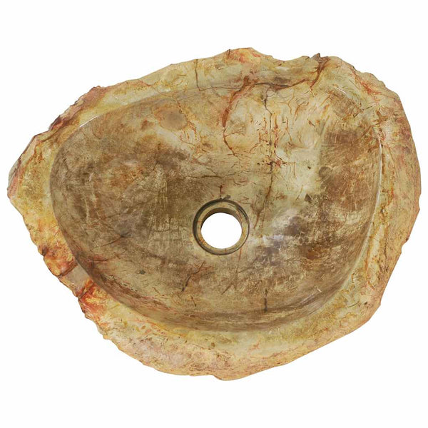 Pesuallas fossiilinen kivi 45x35x15 cm kerma