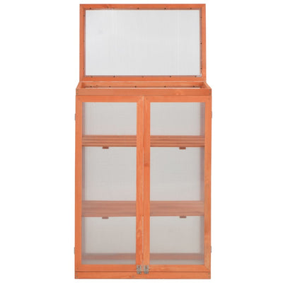 Kasvihuone puu 75 x 47 x 109 cm