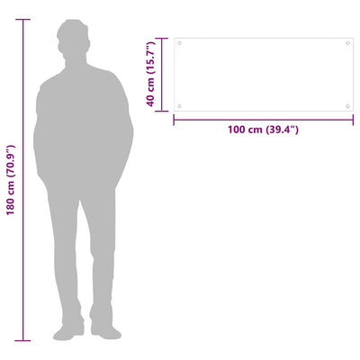 Läpinäkyvä keittiön roiskesuoja Ikovics 100x40cm (karkaistu lasi)