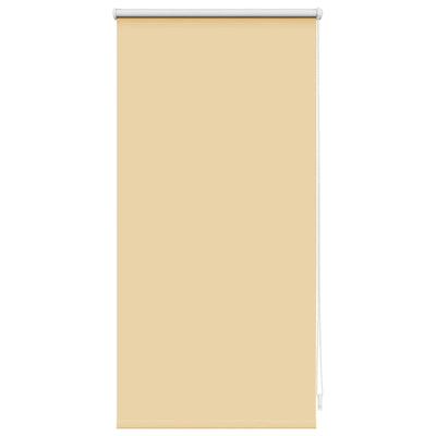 Beige pimentävä rullaverho Alfredsson 40x100cm