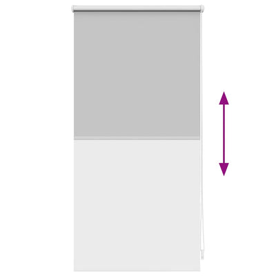 Harmaa pimentävä rullaverho Alfredsson 40x100cm