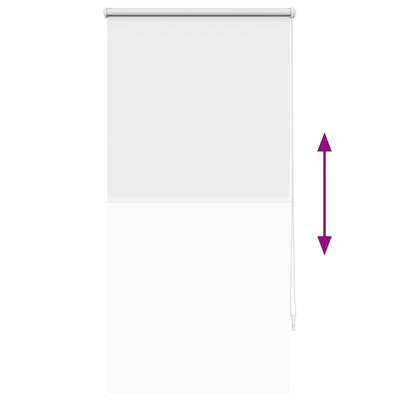 Valkoinen pimentävä rullaverho Alfredsson 60x120cm